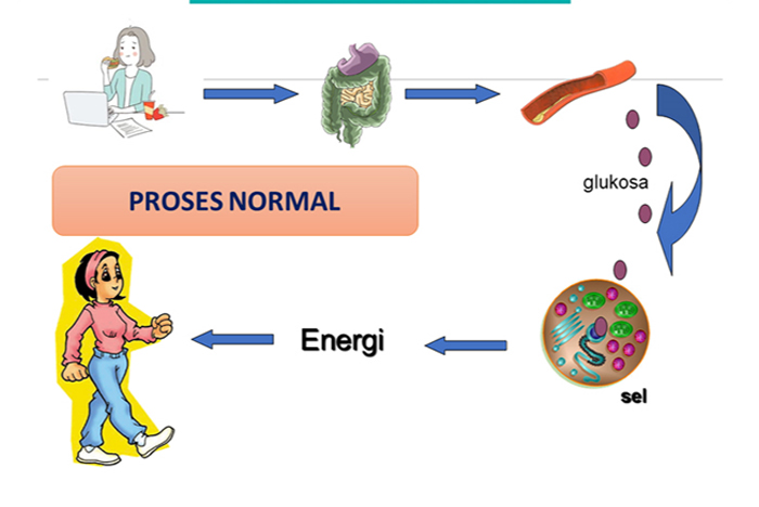 Pengobatan Diabetes Tipe 1 Dan 2
